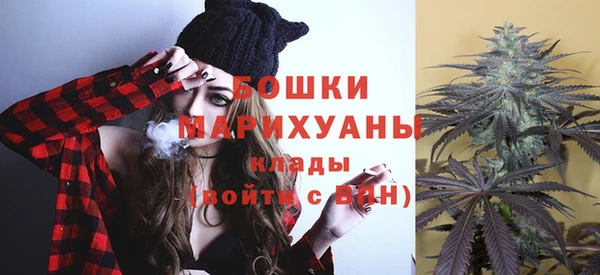 дурь Богородицк