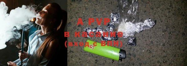 крисы Богданович