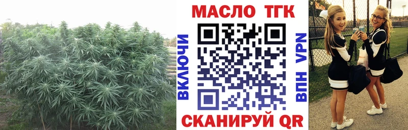 Купить где  Нефтекумск  ТГК концентрат 