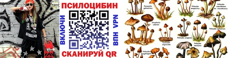 Псилоцибиновые грибы мицелий  Купить где  Нефтекумск 