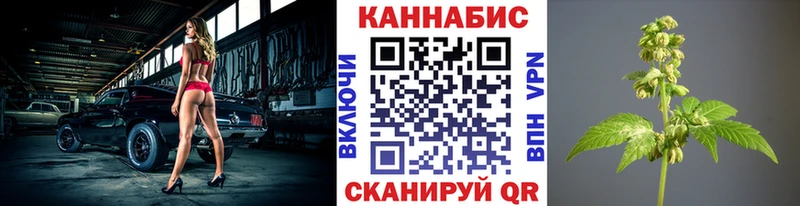 Купить  Нефтекумск  Канабис THC 21% 